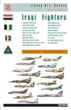 LH48019 Iraqi Fighters