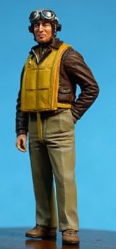 UC48205 USAAF Fighter Pilot WW II - European Theatre