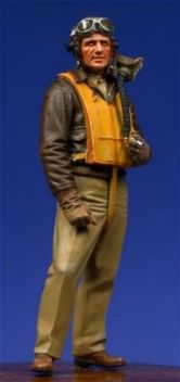 UC54013 USAAF Fighter Pilot WW II - European Theatre