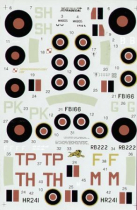 MA4804 RAF/Royal Navy Kokarden Typ D