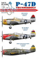 ECD72104 P-47D Thunderbolt