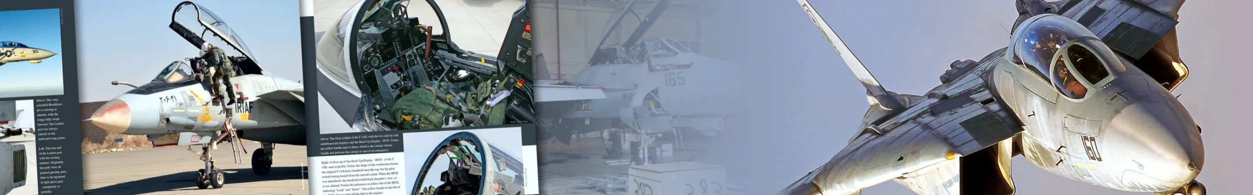 HMH PUBLICATIONS | Grumman F-14 Tomcat
