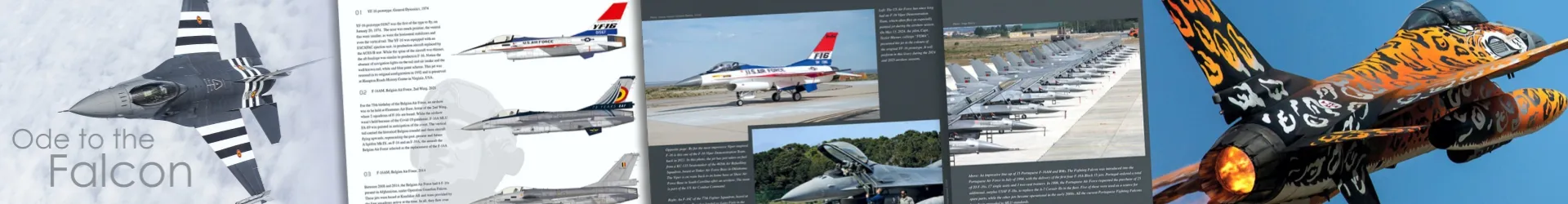 HMH PUBLICATIONS | Ode to the Falcon - 50 Years of the F-16 Fighting Falcon