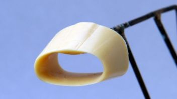 RF48055 F-100 Super Sabre Lufteinlauflippe