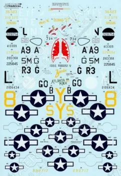 XD72196 70 Jahre D-Day USAAF