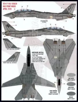 FD&S4815 F-14A Tomcat in Heater-Ferris Schemes