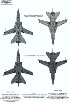 XD48195 Tornado F.3 No. 56(F) Squadron RAF Collection