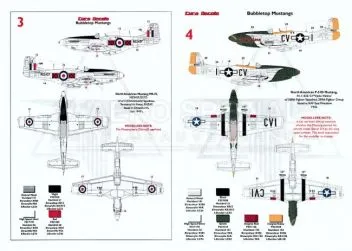 EU32119 P-51 Mustang internationale Luftstreitkräfte