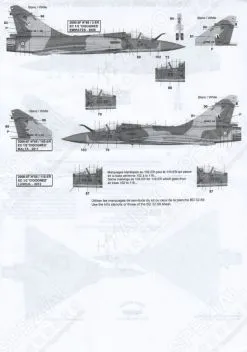 BD32070 Mirage 2000-5F EC 1/2 Cigognes Part 2