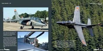 DH-018 Dassault/Dornier Alpha Jet