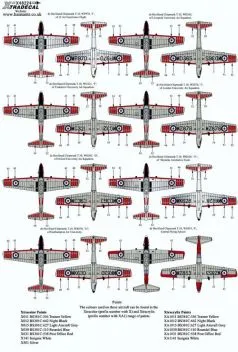 XD48224 Chipmunk T.10 Part 4