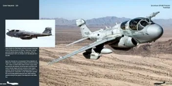 DH-021 Grumman EA-6B Prowler
