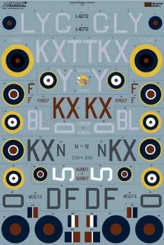 XD72302 Wellington