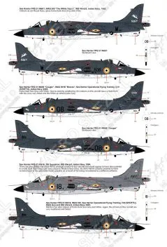 MAL48153 Harrier & Sea Harrier