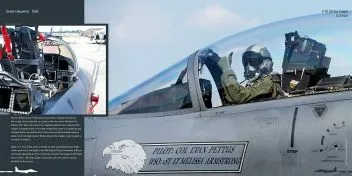 DH-026 Boeing F-15E Strike Eagle