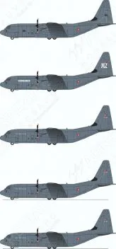 LN72-D10 C-130J-30 Hercules dänische Luftwaffe