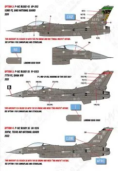 CD48227 F-16C Fighting Falcon Have Glass 5 Camouflage Part 4