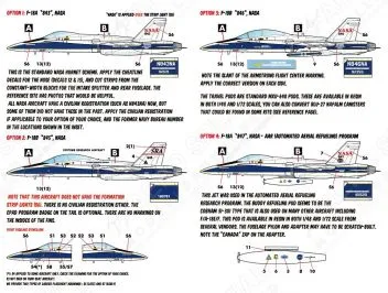 CD48229 F-18A/B Hornet NASA