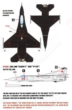 CD72143 U.S. Air Force Aggressors