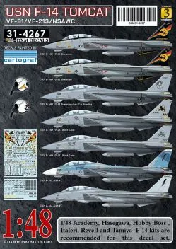 DXM48062AB F-14A/D Tomcat Teil 3