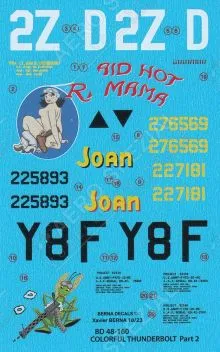BD48160 P-47D Thunderbolt Raid Hot Mama & Joan