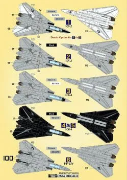 DXM48063 F-14A Tomcat Teil 4