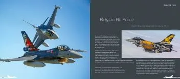 DH-HC002 Ode to the Falcon - 50 Years of the F-16 Fighting Falcon