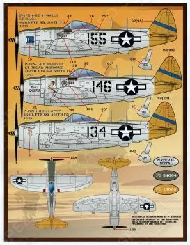 FD&S4830 P-47 Thunderbolt Teil 2