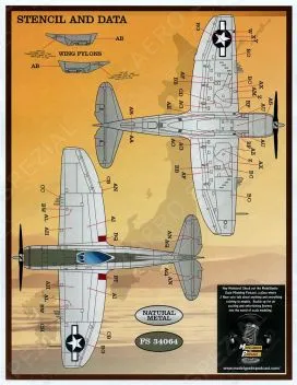 FD&S4830 P-47 Thunderbolt Teil 2