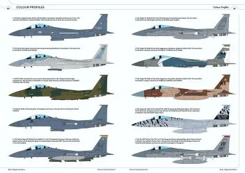 R2RRS06 F-15 Eagle