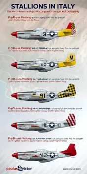 PV72006 P-51D Mustang 15th Air Force in Italien