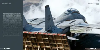 DH-037 Grumman F-14 Tomcat