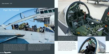 DH-037 Grumman F-14 Tomcat