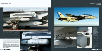DH-037 Grumman F-14 Tomcat