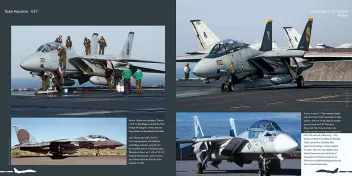 DH-037 Grumman F-14 Tomcat