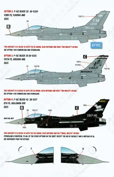 CD48242 F-16C Fighting Falcon in „Have Glass V“-Tarnung, Teil 6