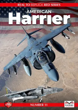 R2RRS11 American Harrier