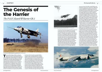 R2RRS11 American Harrier