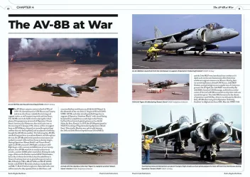 R2RRS11 American Harrier