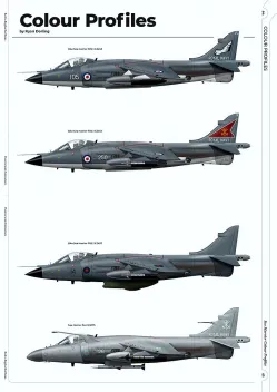 R2RRS14 Sea Harrier