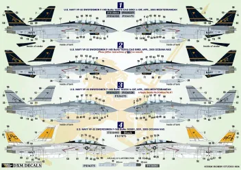 DXM72064 F-14B Tomcat VF-32 Swordsmen