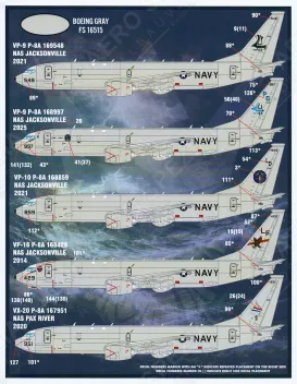 FBD14401 P-8A Poseidon U.S. Navy & Südkoreanische Marine