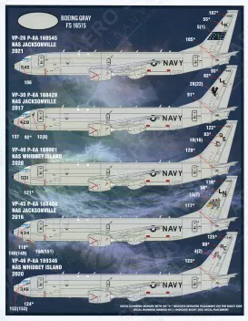 FBD14401 P-8A Poseidon U.S. Navy & Südkoreanische Marine