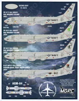 FBD14401 P-8A Poseidon U.S. Navy & Südkoreanische Marine