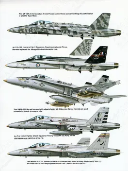 SSIA1136 F/A-18 Hornet in Action