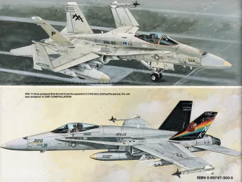 SSIA1136 F/A-18 Hornet in Action