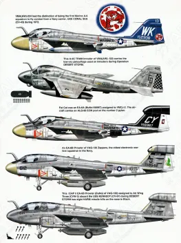 SSIA1138 A-6 Intruder in Action