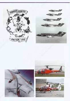 MAL48196 Royal Navy Display- und Kunstflug-Teams