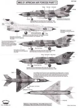 BD72065 MiG-21 Fishbed Afrikanische Luftstreitkräfte Teil 3
