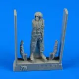 AB48069 Jetpilot sowjetische Marineflieger